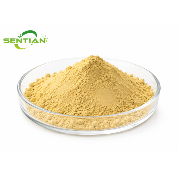 Liposomal Quercetin for Enhanced Antioxidant Support