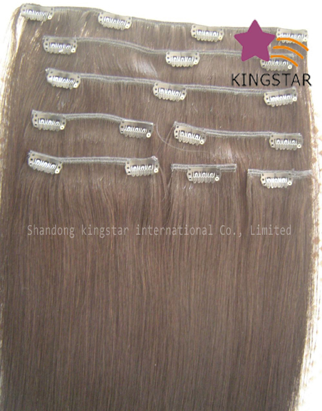 Virgin Remy Human Hair Clip in Extension