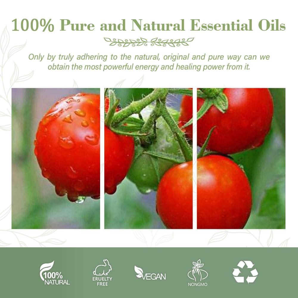 Organic Tomato Seed Oil | Pure Tomato Oil Pure and Natural