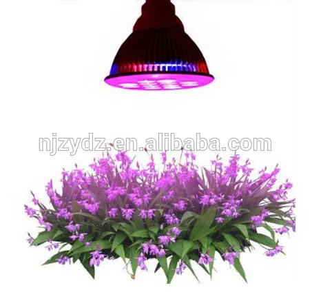 E27 15W fruit LED plants grow light
