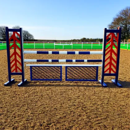 Professional Vaulting Horse Equipment: Safety-Standard Detachable Systems