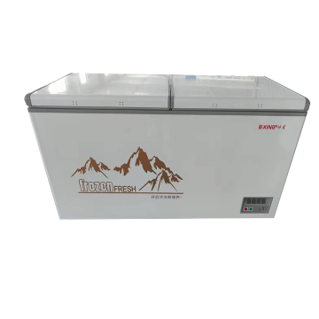 Commercial Chest Freezer with Double Doors and Large Capacity for Restaurants and Supermarkets