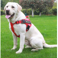 Adjustable Outdoor Dog Vest Harness