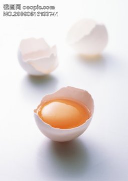 egg powder