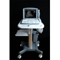 Portable Ultrasound Scanner Portable Black And White Ultrasound Scanner for Urology Manufactory