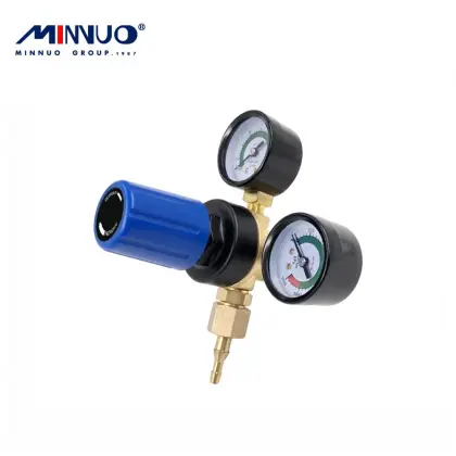 Worldwide Renown Co2 Regulator By Minnuo