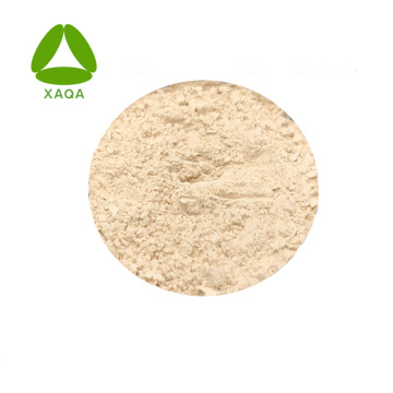 Feed Additive Bacillus Coagulans Powder