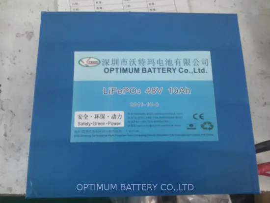 Electric Bike Lithium Phosphate Battery Pack 48v-10ah, With Suitable Bms
