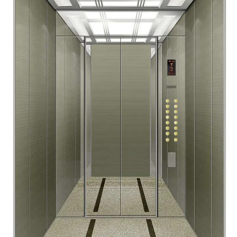 Economic Control Traction Cargo Elevator
