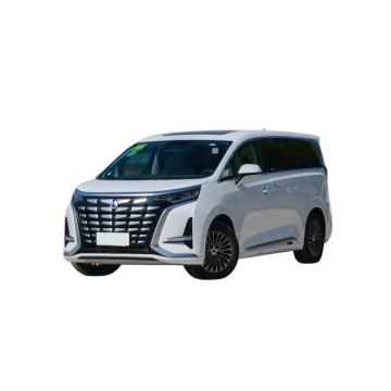 Denza Tengshi D9: MPV elettrico a 7 posti per adulti