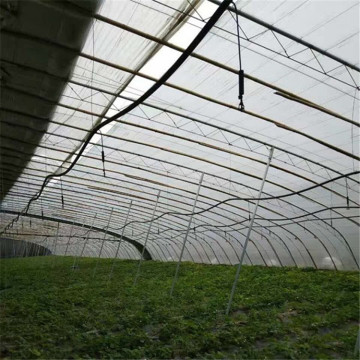 Strawberry Use Upside Down Sprinkler