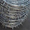 Galvanized Twisted Barbed Wire