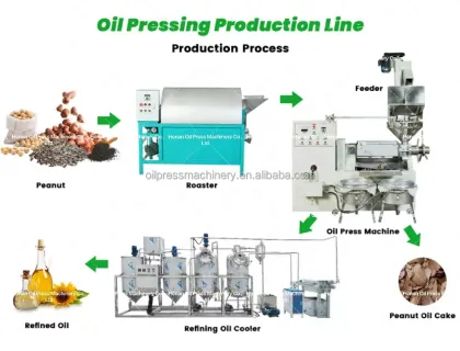 Soya Moringa Canola Oil Press Machine: Cold Pressed Oil Expeller with Vacuum Filter