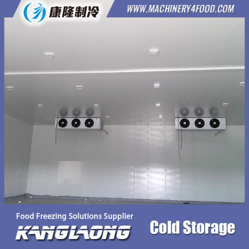 China Factory Professional Cold Room For Sale