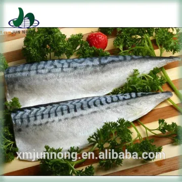 Gold supplier delicious fresh canned food fish mackerel