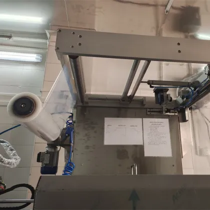 Stainless Steel Thermoforming Vacuum Packing Machine for Rice and Dates