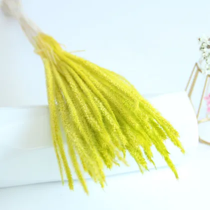Wholesale Colourful Kirin Grass for Wedding and Home Decoration
