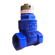 Durable Lockable Gate Valve with Threaded Connection Design