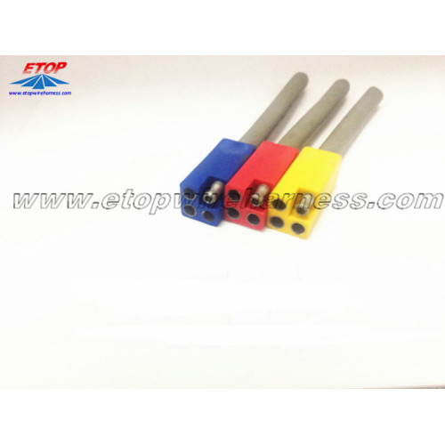 Molded Auto Plug for Vehicle