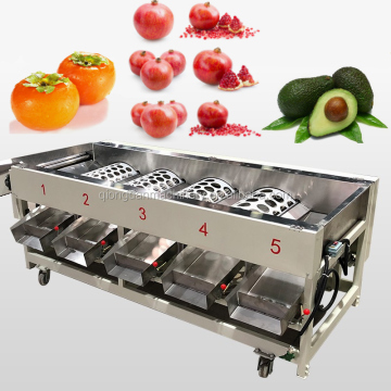 Cherry Tomato and Oval Fruit Grading Machine for Sorting by Weight