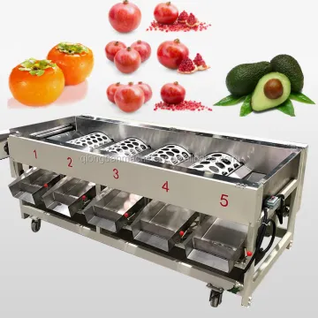 Cherry Tomato and Oval Fruit Grading Machine for Sorting by Weight
