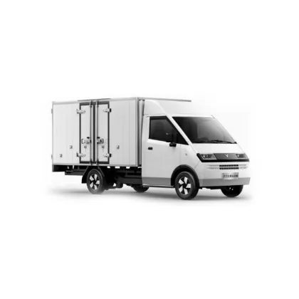 D08 Conventional van electric vehicle