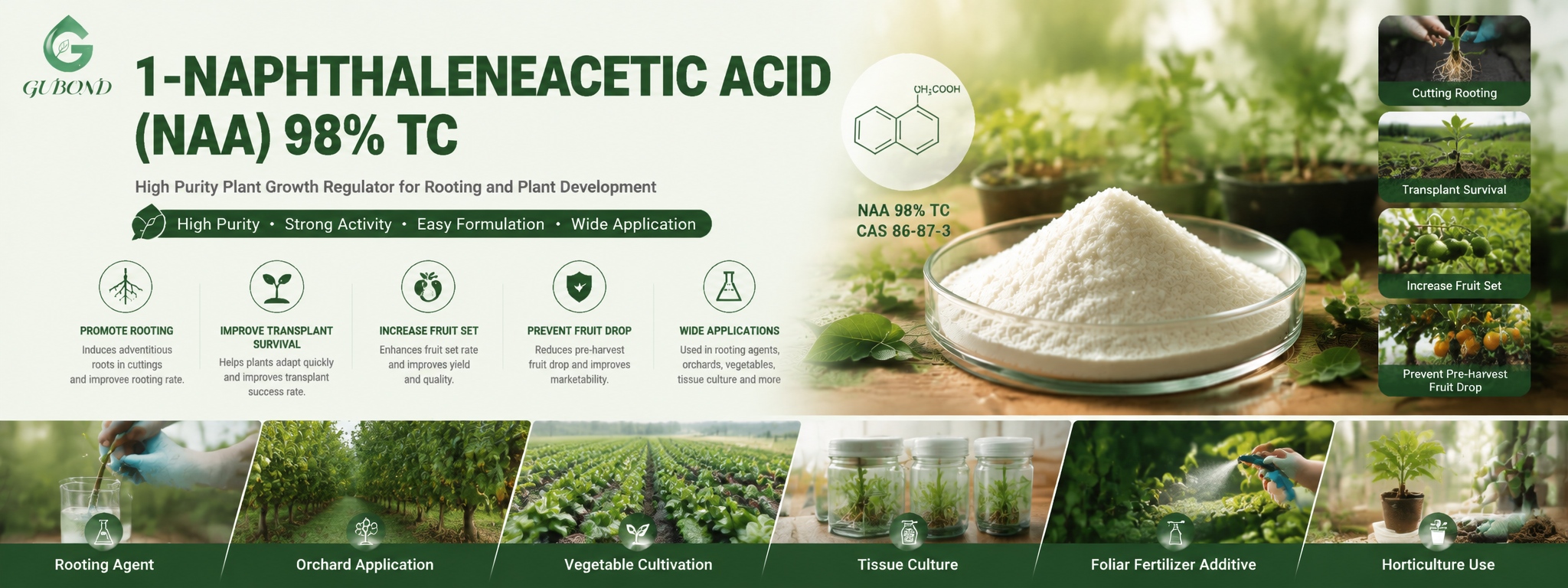 1‑Naphthaleneacetic Acid (NAA)