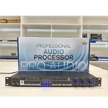 Ultra-Thin 5 Channel MIC Input FX-12L Audio Processor for KTV