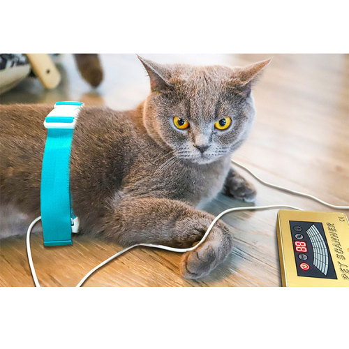 Bio quantum resonance magnetic analyzer dog & cat
