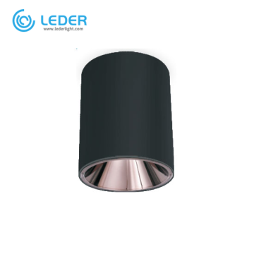 LEDER Cylindrical Bright 10W LED Downlight