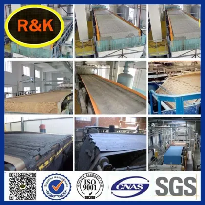 polyester filter cloth for Phoenix