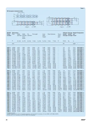 10B-1 PHC 10B-1x10ft 10B Metric Standard Roller Chain 10 Feet with 1 Connecting Link