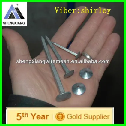 TUV Certification of Polishing Common Nails