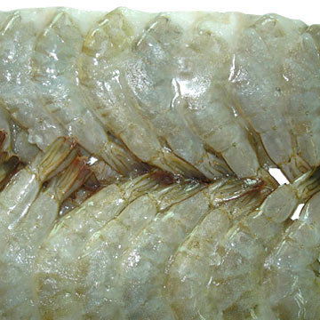 Frozen White Shrimps
