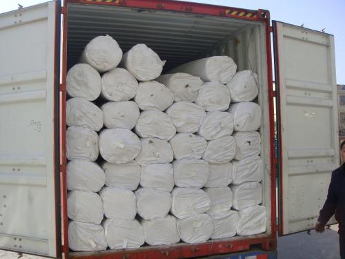 PP/Pet Needlepunched Geotextile