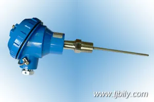 Integrated Temperature Transmitter