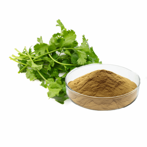 Coriander Extract Powder Sale