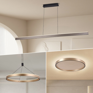 Modern Nordic Indoor Living Room Chandelier LED Lamp - Hot Sale