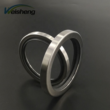 WS-Seals Agriculture Machinery PTFE Seal Stainless Steel Double Lips Seals