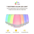 Pribadong Lable Nebulizing Scent Essential Oil Diffusers