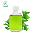 Chinese herb extract mugwort leaf essential oil blumea oil