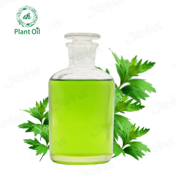 Chinese herb extract mugwort leaf essential oil blumea oil