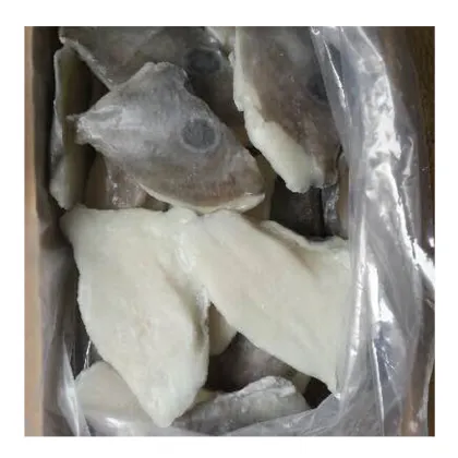 2021 New products seafood products frozen john dory, vacuum packing frozen john dory fillet