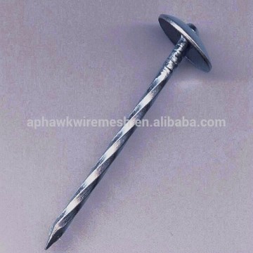 HOT DIPPED GALVANIZED UMBRELLA HEAD ROOFING NAIL