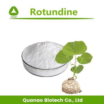 Stephania Epigaea Extract Rotundine 98% Tetrahydropalmatine