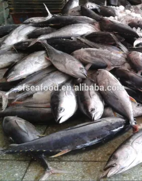 Frozen Yellowfin Tuna
