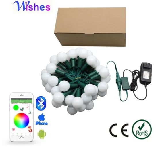 G40 bluetooth RGB LED string lights