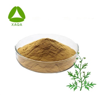 Capillary Wormwood Herb Extract Powder
