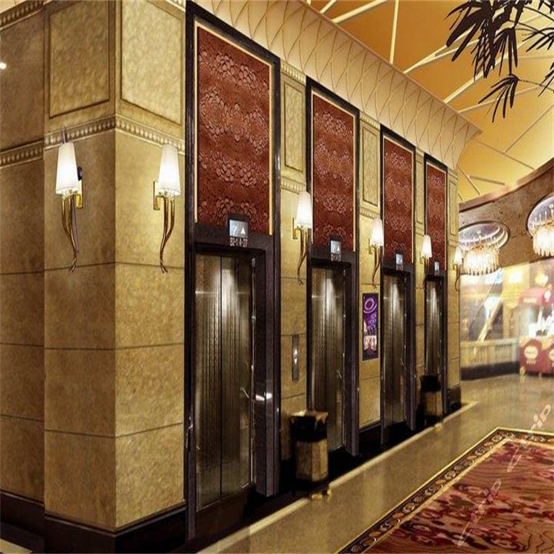 Ascenseurs commerciaux dorés en acier inoxydable brossé