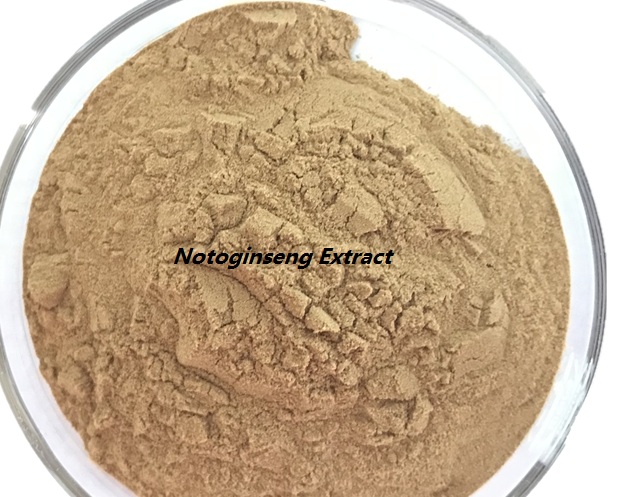 Notoginseng Extract